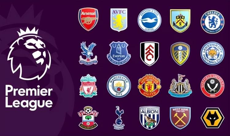 官方：恩佐、阿尔瓦雷斯、朱利亚诺和莫利纳退出阿根廷大名单